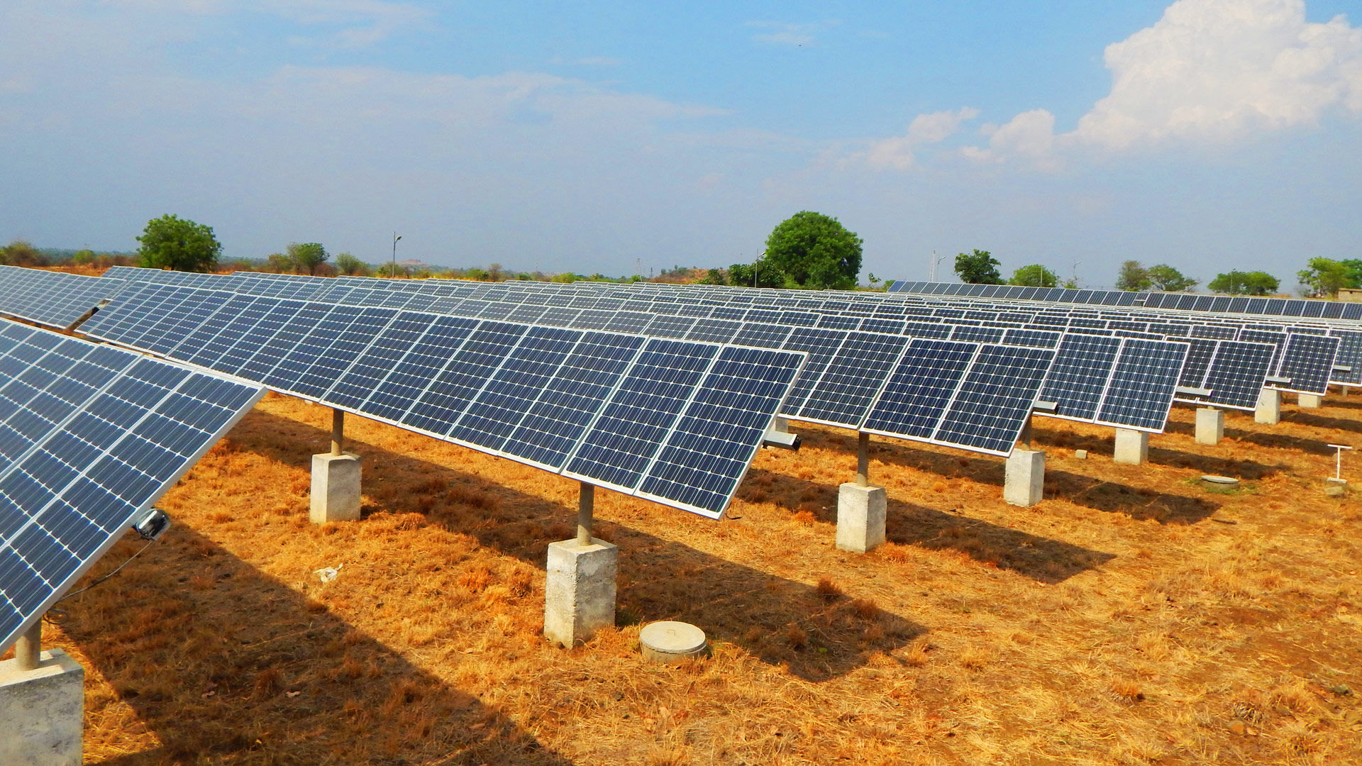 Solar Farm
